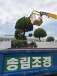 송림조경
