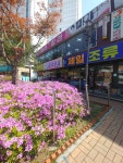 뷰티헤어칼라앤바이인