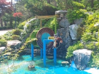 영월솔향기캠프펜션