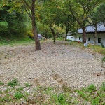 강원 홍천 알프스밸리 캠핑나라 글램독