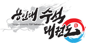 용인대수석태권도