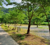 강원 홍천 알프스밸리 캠핑나라 글램독