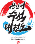 용인대수석태권도