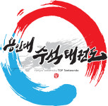 용인대수석태권도