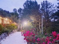 솔내음민박펜션