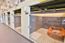 프렌즈도그 호텔 광주 서구점