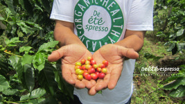 디에떼에스프레소 아산배방점