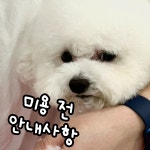 프렌즈도그미용실 광주서구점