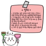 프렌즈도그미용실 광주서구점