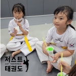 저스트태권도