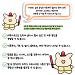 프렌즈도그미용실 광주서구점