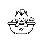 멍냥이펫싸롱,펫호텔 애견미용.애견호텔