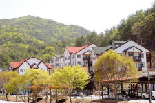 사사학교