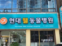 현대웰동물병원