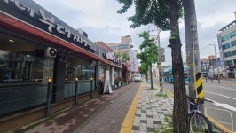 진떼배기