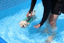 프렌즈도그 유치원 광주 서구점