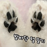 프렌즈도그미용실 광주서구점