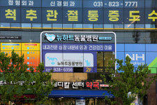 뉴하트동물병원