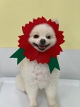 라온멍스테이