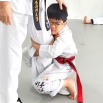 비룡태권도
