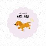 뚜드림 애견 유치원
