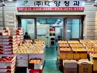 태양청과