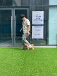 오프독 반려견 종합교육문화센터