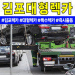 팔팔공사화물