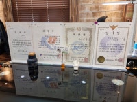 팀모터스