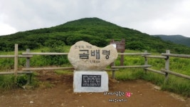 들꽃피는 아침풍경 펜션