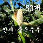 흥열이네농장