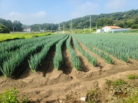 정성담은찬