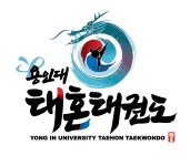 용인대태혼태권도