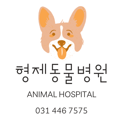 형제동물병원