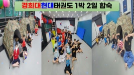경희대현대태권도