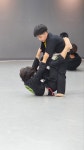 감계 킹덤주짓수