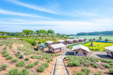 태안 안면도 비비애견동반캠핑장