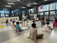 국가대표 스타태권도