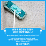금성카플러스
