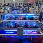 조개마을