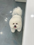 쁘리에숑