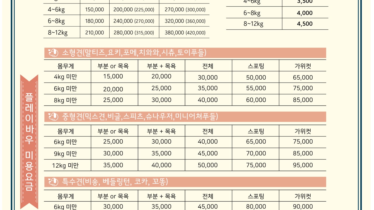 플레이바우