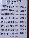 황금오리