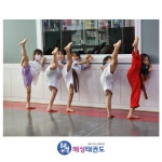 혜성태권도&국가대표SJ줄넘기세상