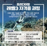 프리다이빙 다이빙이지 강습