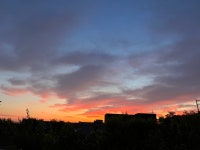 장진근두근두근내과의원