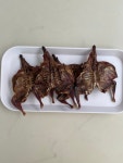 눈이부시개 강내오송애견간식