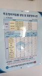 오토오아시스 늘푸른점