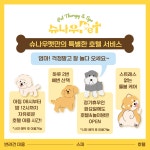 슈나우펫