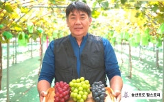 송산포도팜스토리